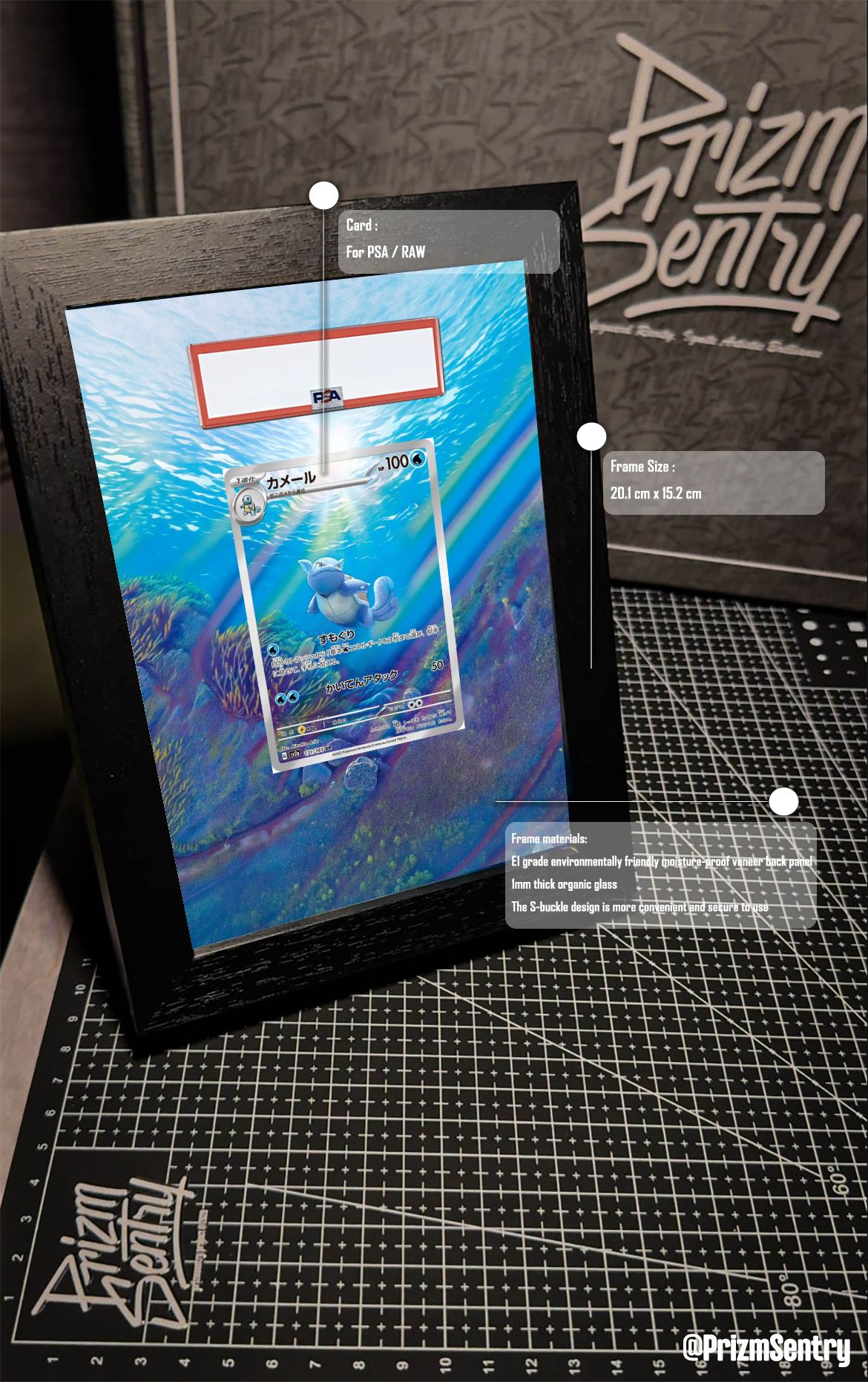 0032-Wartortle AR[SV2a 171/165](Enhanced Expansion Pack "Pokemon Card 151") Art Frame