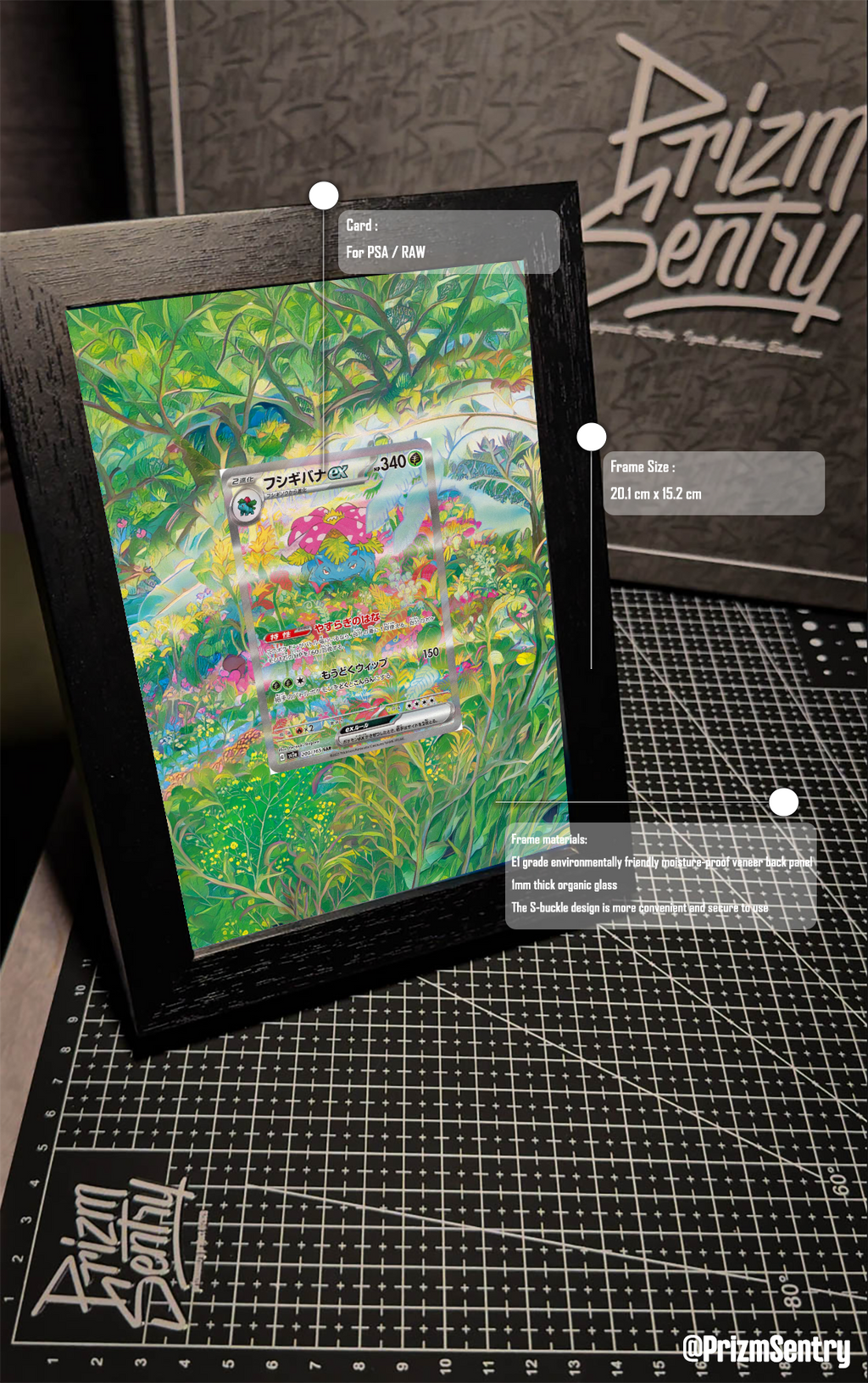 0036-Venusaur ex SAR[SV2a 200/165](Enhanced Expansion Pack "Pokemon Card 151") Art Frame